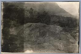 [Piedras pintadas del Cerro Guanaco en el valle del Río de los Cipreses, Cauquenes]