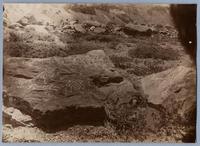 [Piedras pintadas del Cerro Guanaco en el valle del Río de los Cipreses, Cauquenes]