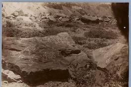 [Piedras pintadas del Cerro Guanaco en el valle del Río de los Cipreses, Cauquenes]