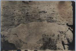 [Piedras pintadas del Cerro Guanaco en el valle del Río de los Cipreses, Cauquenes]