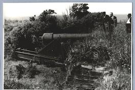 [Guillermo Feliú Cruz y un acompañante, junto a cañón en el Fuerte Ahui]