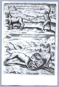 [Escena de caza de animales]