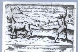 [Escena de caza de animales]