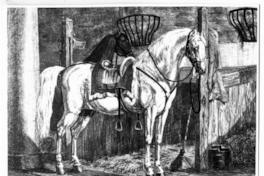 [Caballo, titulado "Alexander"]