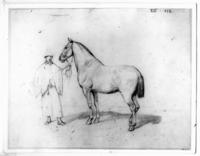 [Campesino sujetando de las riendas a un caballo]