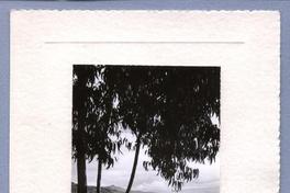 [Vista parcial de la ciudad de Bogotá]