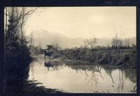 [Zona rural cercana a la cordillera]