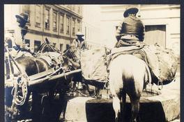 [Caballos abrevando]