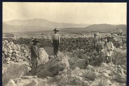 [Obreros de la pampa salitrera]