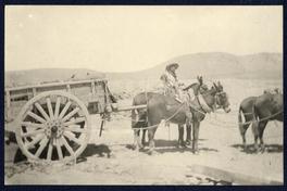 [Acarreo de caliche]