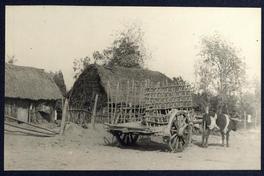 [Carreta tirada por un buey]