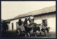 [Carreta tirada por bueyes]