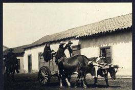 [Carreta tirada por bueyes]