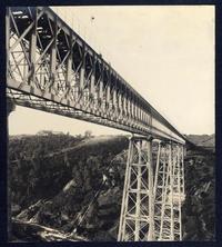 [Puente del Malleco]