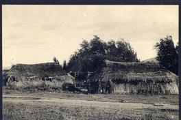 [Dos Mujeres y un niño mapuche afuera de una ruca]