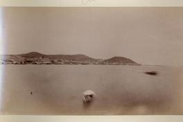 [Vista de bahía no identificada]