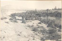 [Valle de la libertad]