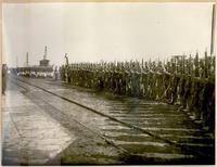 [Tropas que rindieron honores el día de la llegada de Pershing]