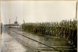 [Tropas que rindieron honores el día de la llegada de Pershing]