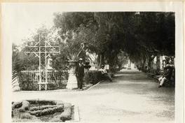 [Cementerio de Arica]