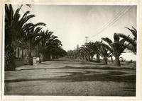 [Avenida de Tacna, Perú]