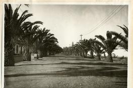 [Avenida de Tacna, Perú]