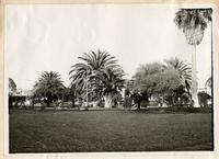 [Plaza de Tacna, Perú]