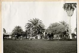 [Plaza de Tacna, Perú]