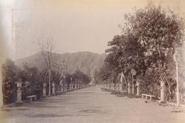 [Calle o avenida no identificada]