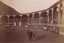 [Plaza de Toro, con un toro y dos toreros, Perú]