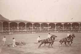 [Plaza de Toro, con caballos, Perú]