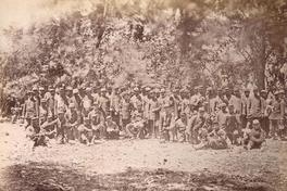 [Militares: grupo posando para la fotografía, en un bosque]