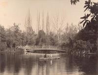 [Laguna : con bote y dos personas; y con un puente de fondo en un bosque]