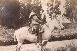 [Huaso con apero y caballo]