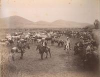 [Campesinos o huasos a caballo]