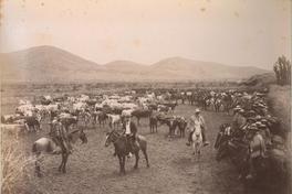 [Campesinos o huasos a caballo]