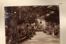 [Parque Municipal de Valparaíso, sector de paseo]