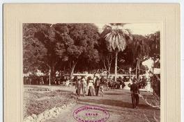 [Fiesta en jardín público, 27 de julio de 1902, se divisan personas]