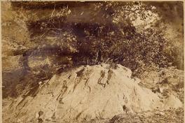 [Piedra de los indios, dibujos grabados en una piedra]