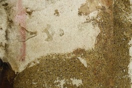 Primo viaggio intorno al globo terracqueo ; ossia, Ragguaglio della navigazione alle Indie Orientali per la via d'Occidente