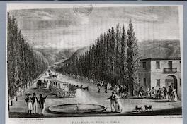 [Paseo público Tajamar]