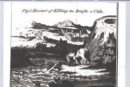 [Forma de matar a las bestias en Chile]