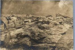 [Piedras pintadas del Cerro Guanaco en el valle del Río de los Cipreses, Cauquenes]