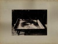 Contenedor con salitre