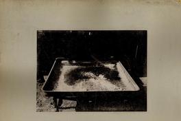 Contenedor con salitre