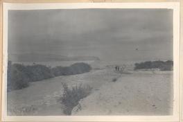 [Azapa, avenida Agua Quebrada]