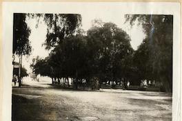 [Calle San Marcos, Arica]