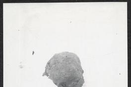 [Album Museo de Historia Natural de Concepción: Sección de Antropología; Momia de niño de Arica, primeros años de la época colonial]