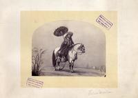 [Huaso maulino a caballo con sombrilla]