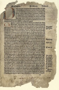 Opus præclarissimum in quatuor libro Sententiarum